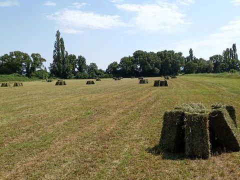 fourrage . foin  .pour chevaux petit ballot de 18 à 22kg 3 26740 Sauzet