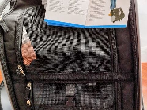 Sac &agrave; dos/caddy transport chat ou petit chien 40 67300 Schiltigheim