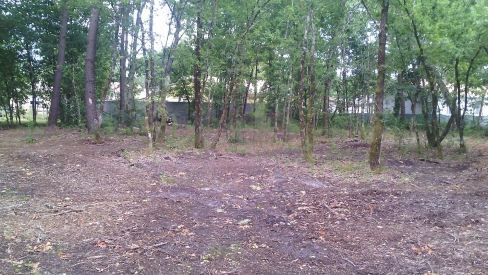 Maisons neuves   Lugos (33830)