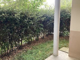  Appartement � louer 2 pi�ces 38 m�