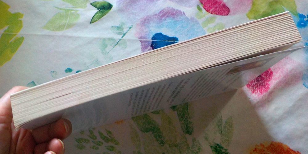 LA SOURCE AUX TROIS FONTAINES de Antonin MALROUX Ed de BOREE Livres et BD