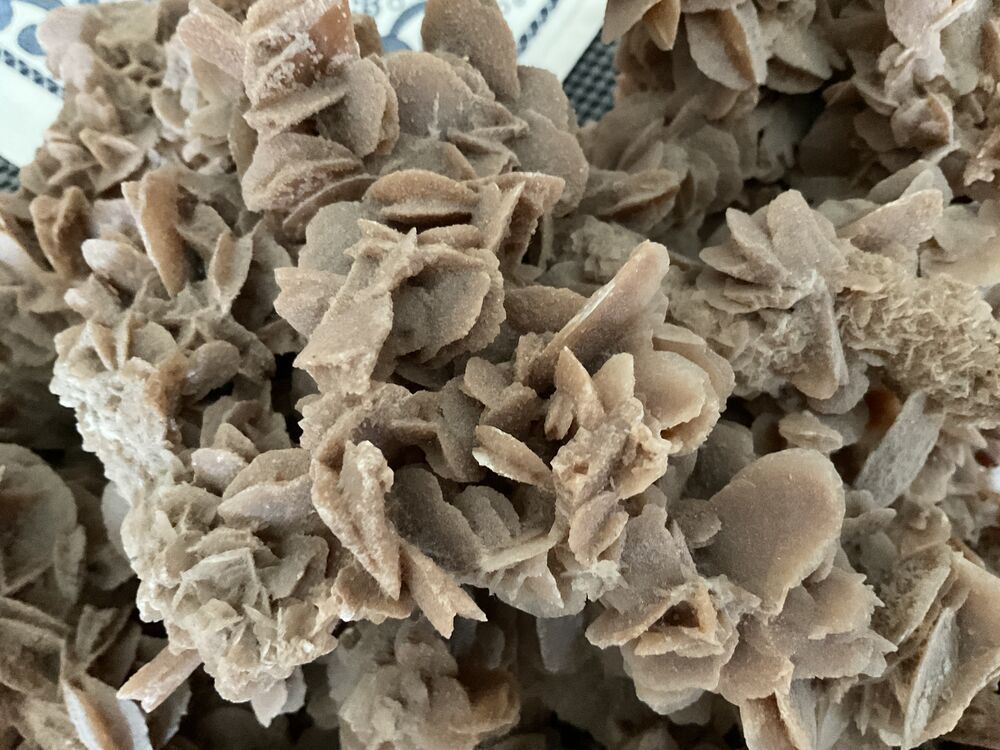 Rose des sables 