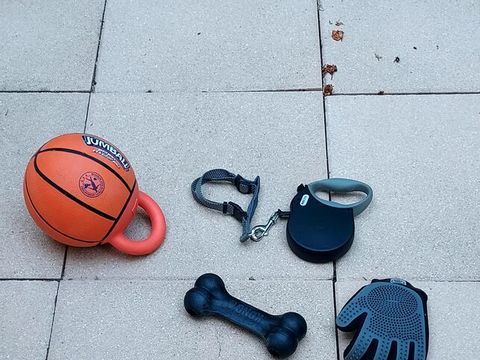 Accessoires chien 25 06130 Grasse