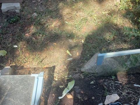 Tortue 80 66330 Cabestany