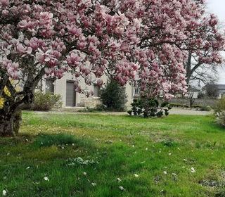  Maison � vendre 7 pi�ces 240 m�