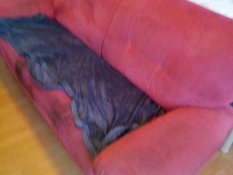 Canap� 0 Levier (25)