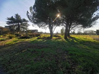  Terrain à vendre 
