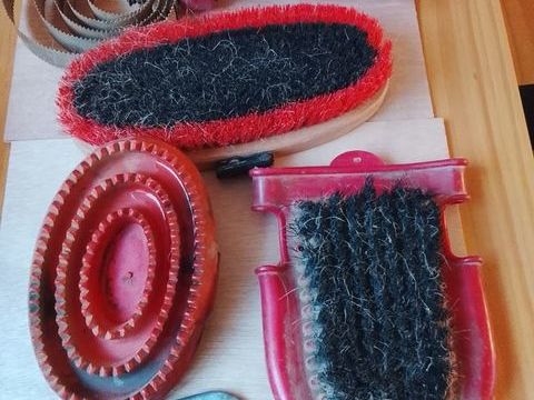 Etrilles, brosses 6 29200 Brest