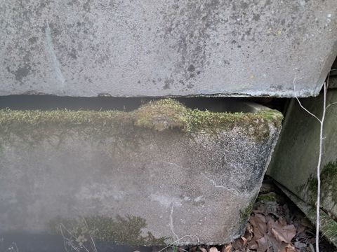 Bassins abreuvoirs en ciment 120 79500 Saint-l�ger-de-la-martini�re