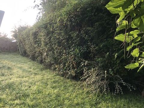   Studio meubl� RDc au pied de la gare id�al �tudiant  650� Cc Appartement - 1 pi�ce(s) - 20 m�