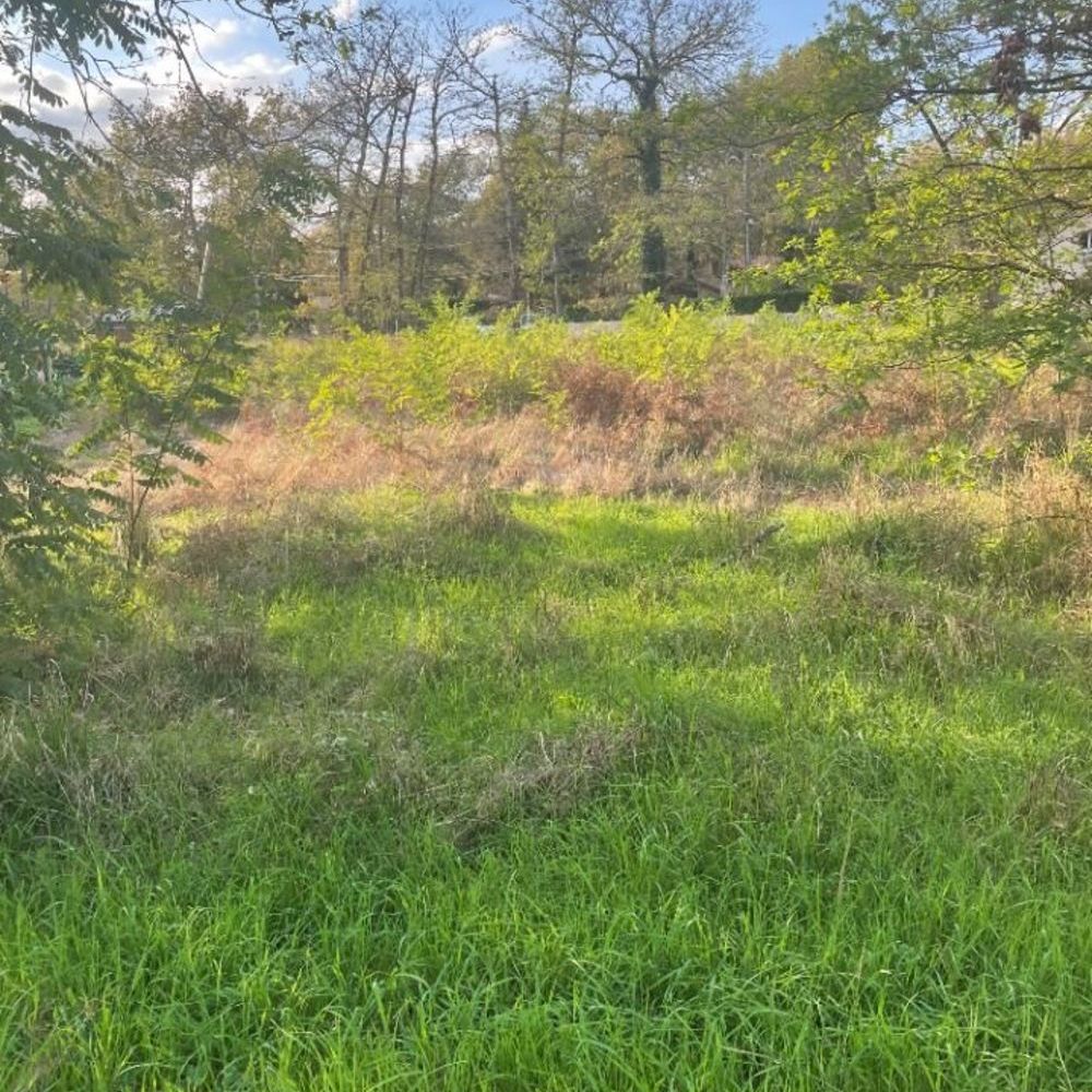 Maisons neuves   Vertheuil (33180)