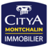 Citya Montchalin - - Saint-Étienne
