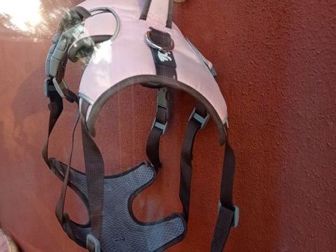 Harnais chien 3 points 20 82000 Montauban