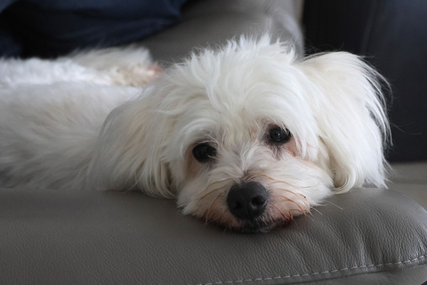 Olliver 280 44000 Nantes