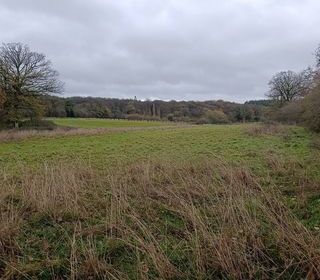  Terrain � vendre 60000 m�