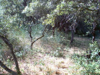  Terrain � vendre 1300 m�