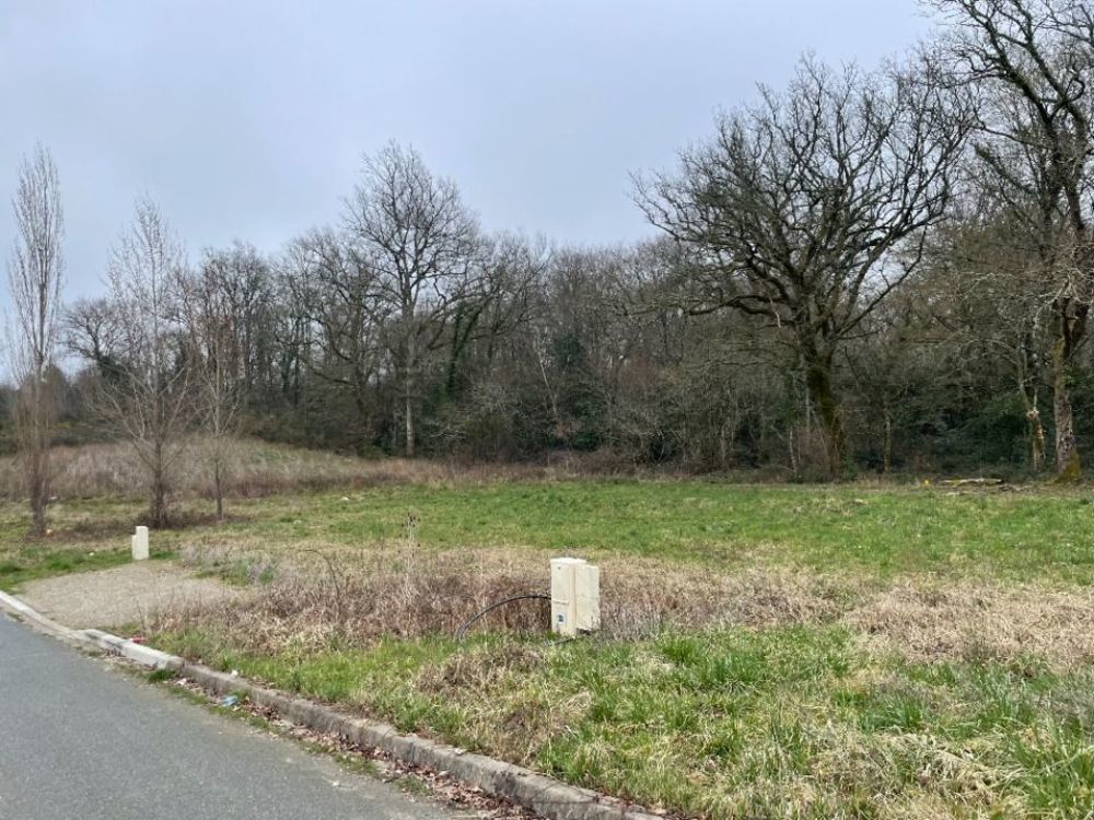 Maisons neuves   Saint-M�dard-en-Jalles (33160)