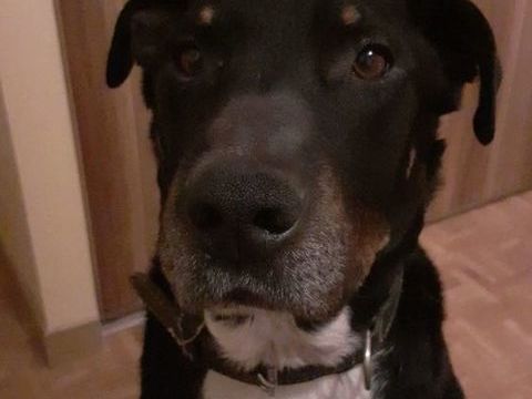 SAM 250 44190 Gorges