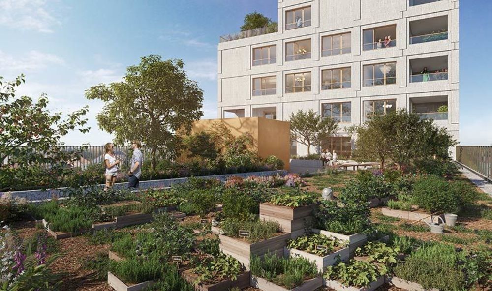 Appartements neufs   Ambilly (74100)