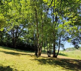  Terrain � vendre 1939 m�