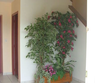  Appartement � louer 3 pi�ces 56 m�