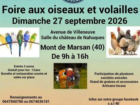 Foire aux oiseaux et volailles 1 40000 Mont-de-marsan
