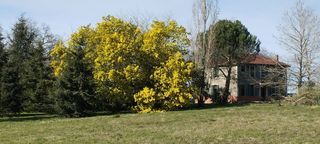  Maison � vendre 6 pi�ces 160 m�