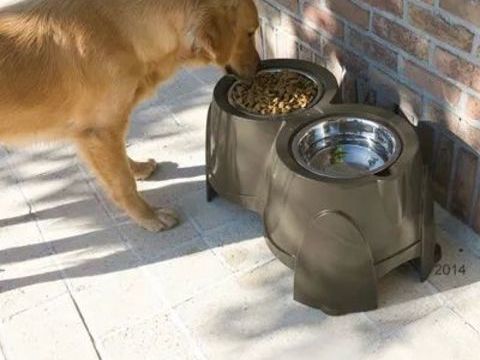 Porte gamelles orthop&eacute;dique avec deux &eacute;cuelles en acier 22 83200 Toulon