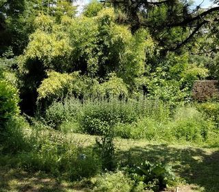  Terrain � vendre 780 m�