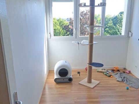 Donne adorable chatte de 2 ans tr&egrave;s propre et tr&egrave;s tr&egrave;s 
0 51000 Ch�lons-en-champagne