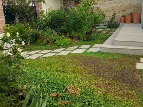 Je peux accueillir votre tortue terrestre. 0 93100 Montreuil