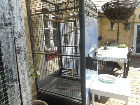 CAGE PERROQUET 200 33140 Villenave-d'ornon