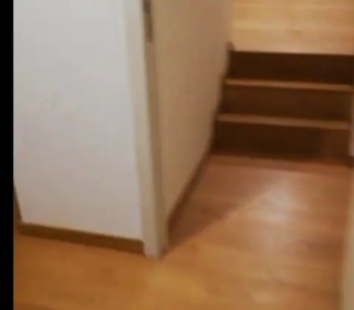  Appartement � louer 2 pi�ces 33 m�