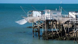 Location  Maison - Villa 