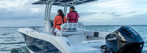 Bateaux &agrave; moteur Bateau de travail 2010 occasion Martigues 13500