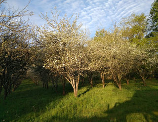  Ferme � vendre 3 pi�ces 75 m�