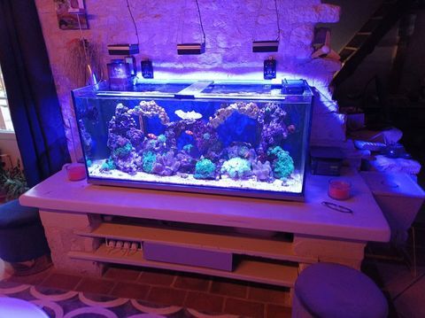 aquarium complet 300l  600 86220 Les ormes