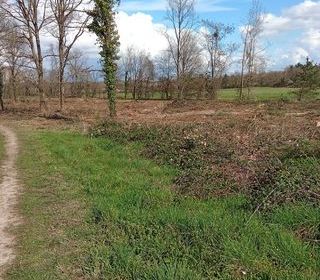  Terrain � vendre 4281 m�