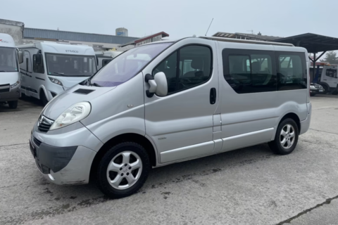 Opel Divers 145 2008 occasion Nancy 54000