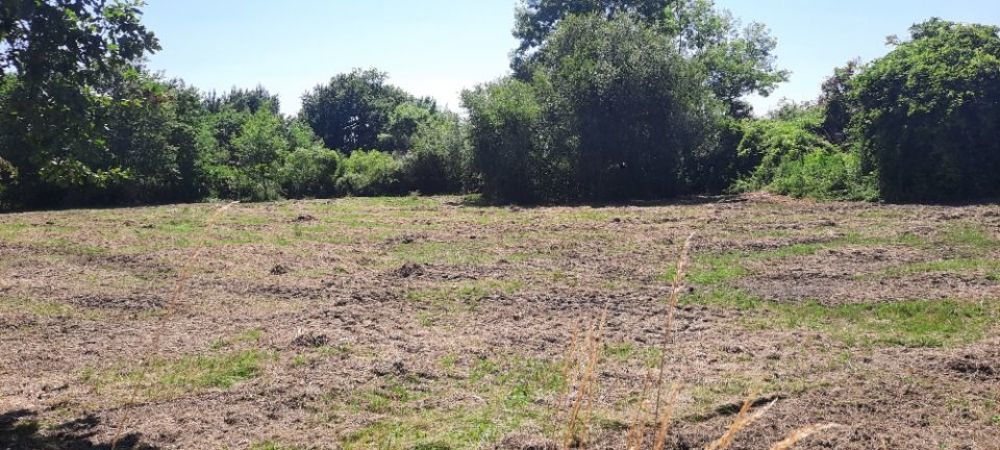 Maisons neuves   Brach (33480)