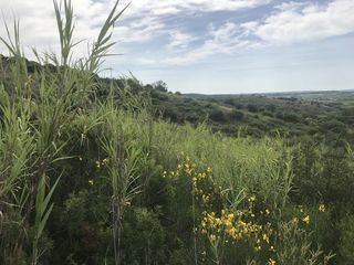  Terrain � vendre 11000 m�