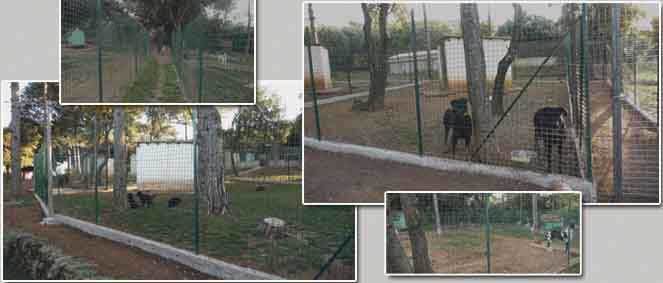 ELEVAGE DE LA ROSEE DU SOLEIL, 34