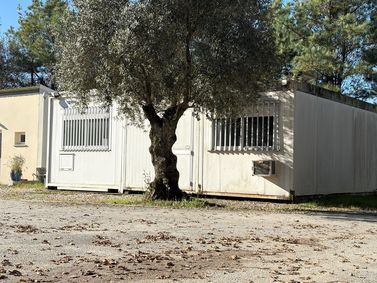 ABORD'AUTO, concessionnaire 33