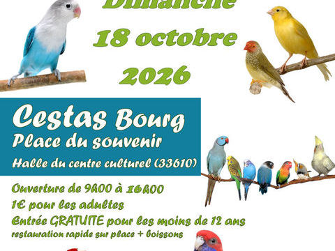 BOURSE AUX OISEAUX 1 33610 Cestas