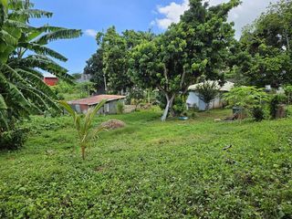  Terrain � vendre 2422 m�