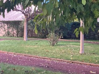  Appartement � vendre 3 pi�ces 65 m�