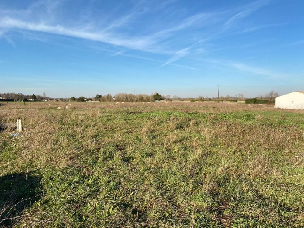 Maisons neuves   Port-d'Envaux (17350)