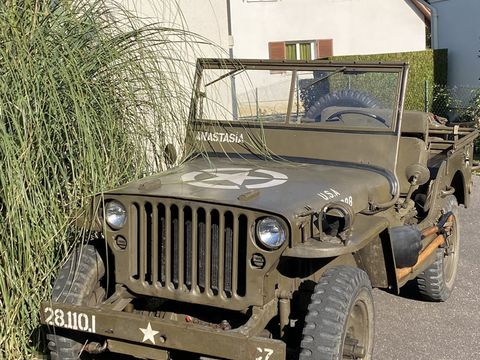 Jeep Willys Mb 1945 occasion Dijon 21000