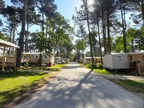 Mobil-Home Mobil-Home 2015 occasion Piriac-sur-Mer 44420