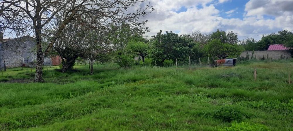   Gujan-Mestras (33470)